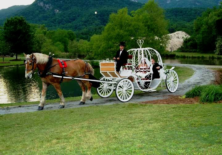 Carriage Ride by the Lake